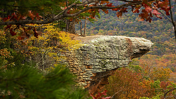 Hawksbill Crag, Arkansas, leaves, fall, landscape, trees, autumn, colors, rocks, usa HD wallpaper