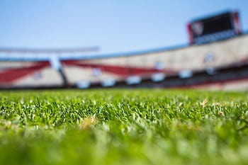 Close-up of grass with a blurred stadium background under a clear sky. HD wallpaper