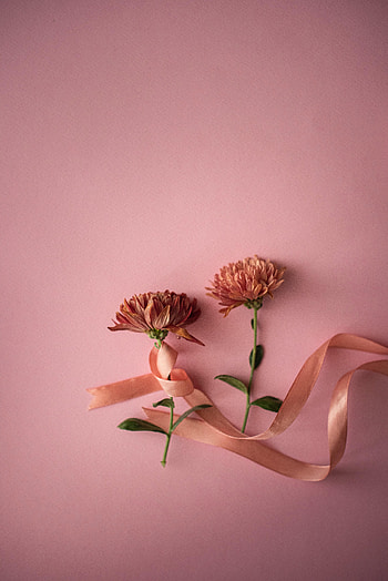 Flowers, Pink, Tape HD phone wallpaper