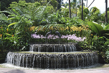 Waterfall, trees, sky, nature, flowers HD wallpaper