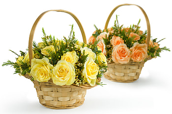 Roses, bouquet, graphy, elegantly, beautiful, nice, basket, still life, rose, flower, cool, flowers, baskets, , harmony HD wallpaper