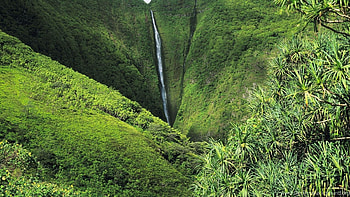 Oloupena Falls, Jungles HD wallpaper