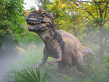 Animals, Dinosaurs HD wallpaper