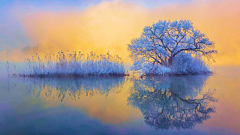 Ice Tree, colors, sky, reflections, lake, sunset HD wallpaper