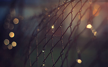 Night, Web, Lights, Macro, Grid, Fence, Metal, Bokeh, Boquet, Lattice, Trellis HD wallpaper