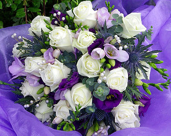 Flowers, Roses, Lilac, Registration, Typography, Bouquet, Decoration, Lisianthus Russell, Lisiantus Russell, sia HD wallpaper