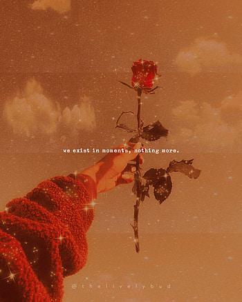 Aesthetic Quote 2, , sparkle, vibe, deep, line, clouds, cute, life, digitalart, red, beautiful, meaning, golden, saying, sweater, art, pretty, warmtones, nature, words, flower, orange, background, glitter, rose, Samsung HD phone wallpaper