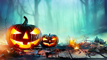 For Samhain, pumpkin, halloween, samhain, digital art HD wallpaper