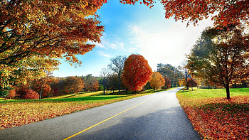 Autumn road, Scenery HD wallpaper