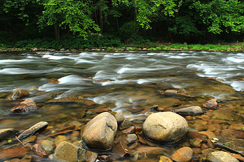 Nature, Rivers, Trees, Stones, Flow, Stream HD wallpaper