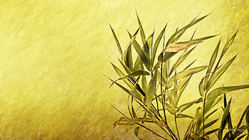 Simple Bamboo, natural, simple, leaves, bamboo, oriental, neutral, gold, tree HD wallpaper