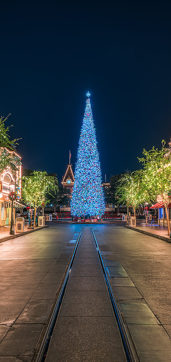 Disney, , Disneyland, Christmas Tree, California HD phone wallpaper