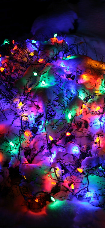 Snow-Kissed Christmas Lights, snow, christmas lights, holiday, Christmas HD phone wallpaper