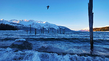 December in Haines, Alaska, snow, coast, landscape, sky, mountains, usa, ice, sea, rocks, trees HD wallpaper
