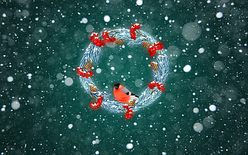Merry Christmas!, craciun, bird, snow, christmas, green, red, card, wreath HD wallpaper