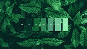 Leaves color palette, Nature-inspired shades, R HD wallpaper