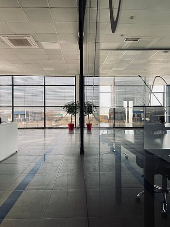 Spacious modern office with glass partitions, large windows, and minimalist decor with potted plants. HD phone wallpaper