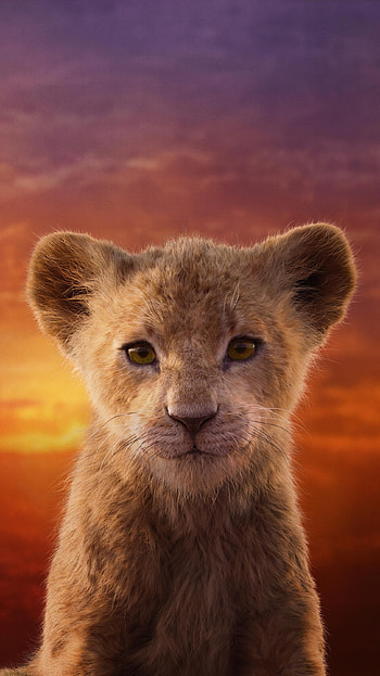 The Lion King (2022) movie HD phone wallpaper