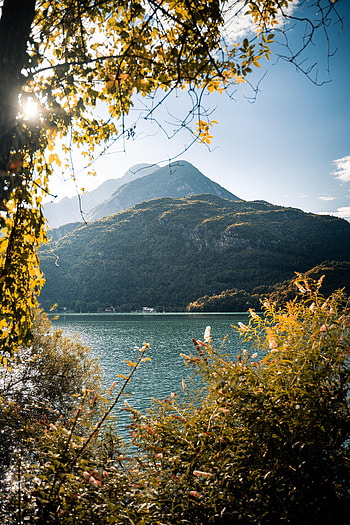 Nature, Mountains, Bush, Lake, Branches HD phone wallpaper
