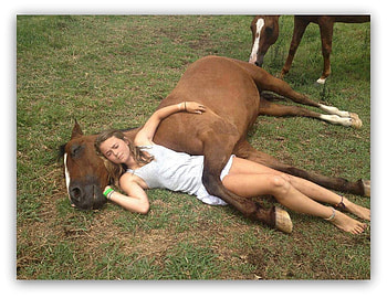 my great friend, girls, horses, legs, animals HD wallpaper