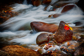 Nature, Water, Stones, Leaves, Rocks, Flow, Stream HD wallpaper