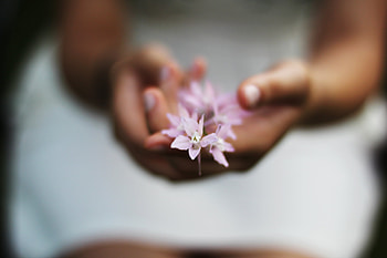 Flower, Macro, Blur, Smooth, Hands HD wallpaper