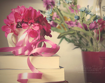 creamy_day, books, flower, nature, flowers, gift HD wallpaper