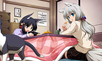 Fox n Cat, kitten, nekomimi, kitty, long hair, female, table, neko mimi, kitsune, girl, cat, tail, food, black hair, anime girl, neko, anime, white hair, ears HD wallpaper