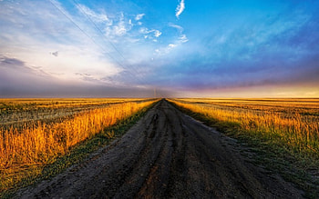 Landscape, field, clouds, sky, road, sunrise HD wallpaper