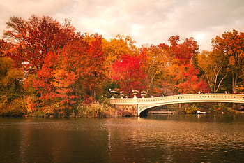 Central Park, Bridge in autumn HD wallpaper