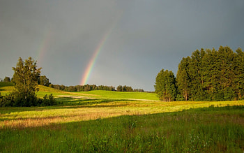 Rainbow in Latvia, fields, Latvia, nature, rainbow HD wallpaper