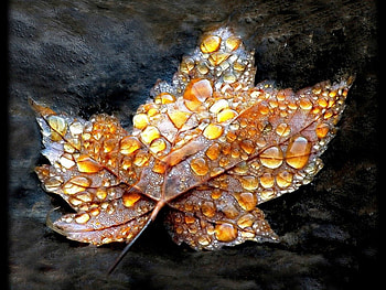 golden drops, gouden, druppels, regen HD wallpaper