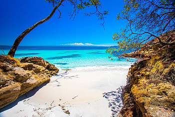 Jervas Bay, fun, cool, nature, sunset, ocean, beach HD wallpaper