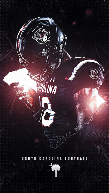 Cheer cheer cheer, South Carolina football, Fan support, Game day HD phone wallpaper