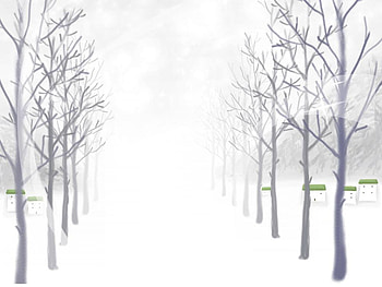 Winter Forest, winter, white, snow, christmas, trees, nature, forest HD wallpaper