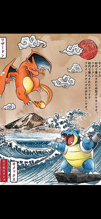 Charizard e Blastoise, pokemon, desenho HD phone wallpaper