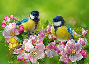 Flowers, Art, Bright, Bird, Tit, Titica HD wallpaper
