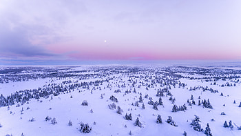 Snow Covered Field , snow, field, nature, aerial HD wallpaper