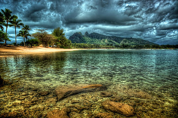 beach water., sea, water, palm, beach HD wallpaper