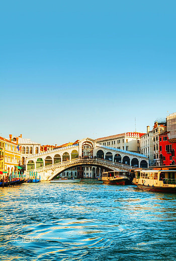 Rialto Bridge, Venice, Bridge 132 HD phone wallpaper