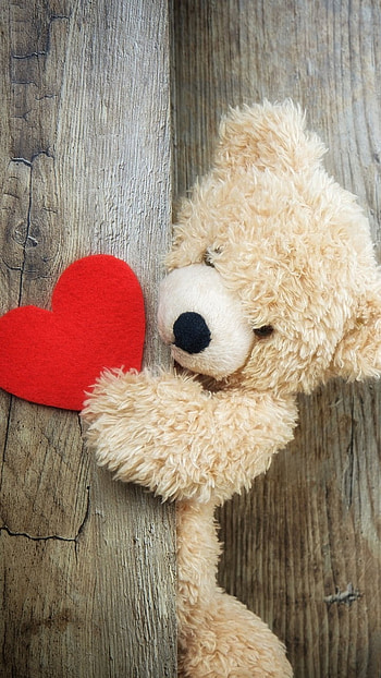 Teddy Bear Ka, Red Heart HD phone wallpaper