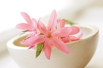 SIMPLYPINK, SOFT, WHITE, STILLLIFE, SPA, PINK HD wallpaper