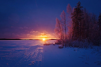 Sunrise, winter, trees, dawn, field HD wallpaper