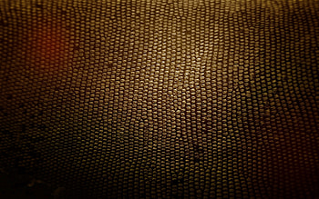 Dark, Texture, Textures, Snake, Skin HD wallpaper