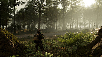 Beauty of nature in video game ghost recon breakpoint, Tom Clancy's Ghost Recon Breakpoint, nature, plant, forest, soldier HD wallpaper