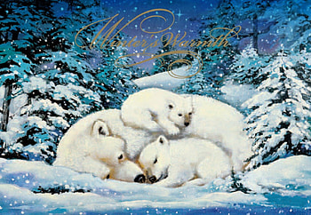 WINTER WARMTH, WHITE, COLD, SNOW, BEARS, FUR, POLAR, CUBS, WINTER, WARMTH HD wallpaper