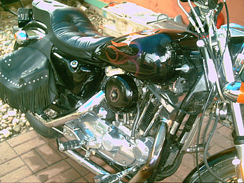 82 sportster, fast, harley, fun, loud HD wallpaper