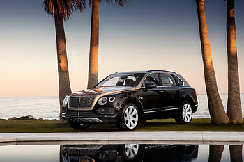 Black, Bentley Bentayga, luxurious car HD wallpaper