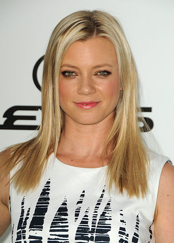 Amy Smart, Amy Smart, Movies, Actress HD phone wallpaper