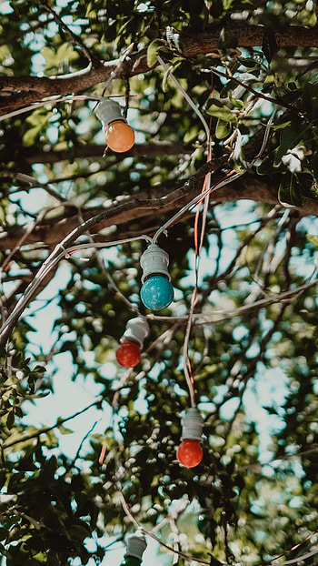 Miscellanea, Miscellaneous, Wood, Multicolored, Motley, Tree, Branches, Garland, Light Bulbs HD phone wallpaper
